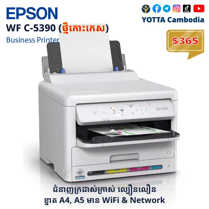 printer epson 10