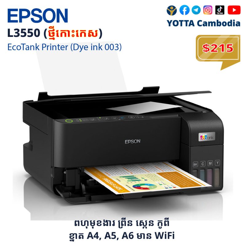 printer epson 19