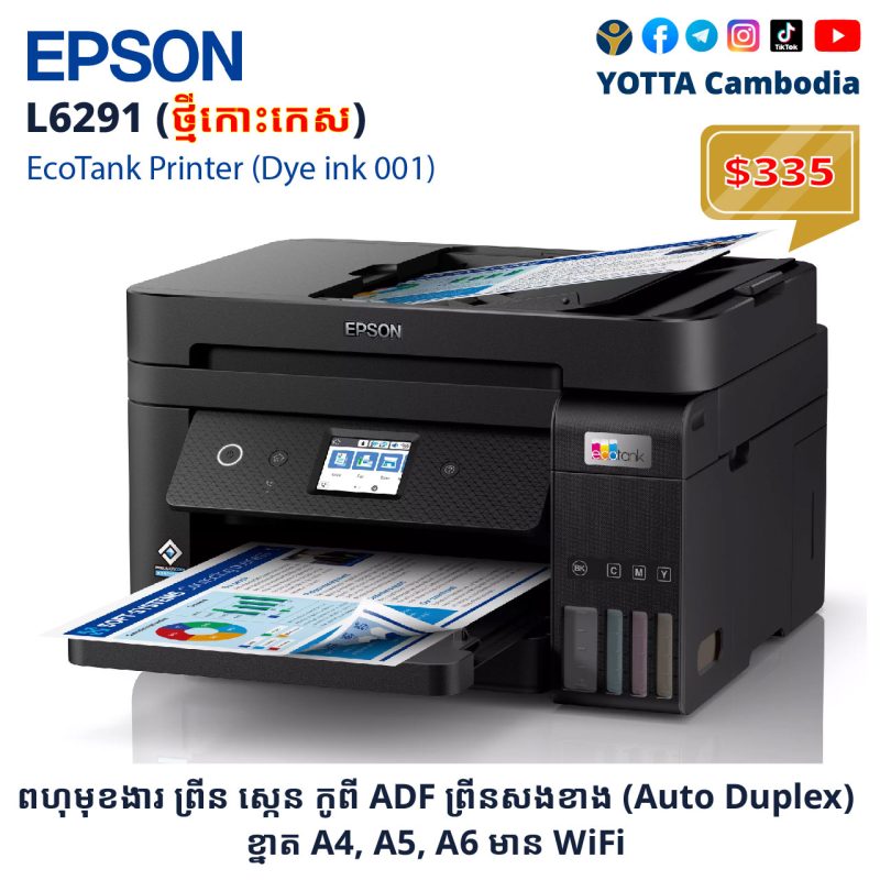 printer epson 24
